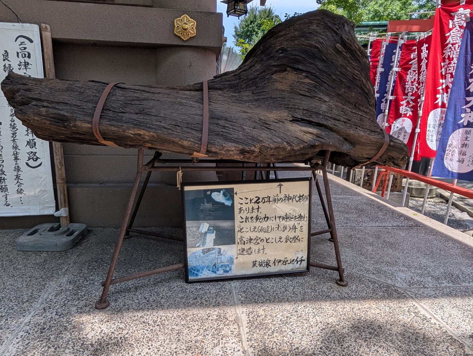 「2万年前の神代杉」の展示。札に「ここに2万年前の神代杉があります」とある
