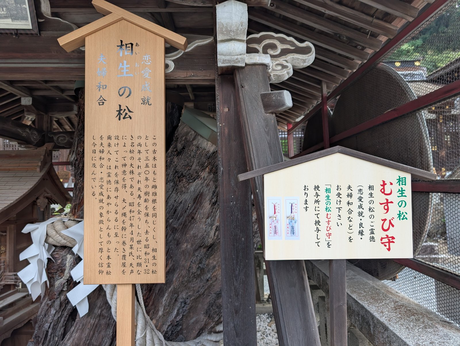 相生の松の木札と、そばに下がる「むすび守」の案内