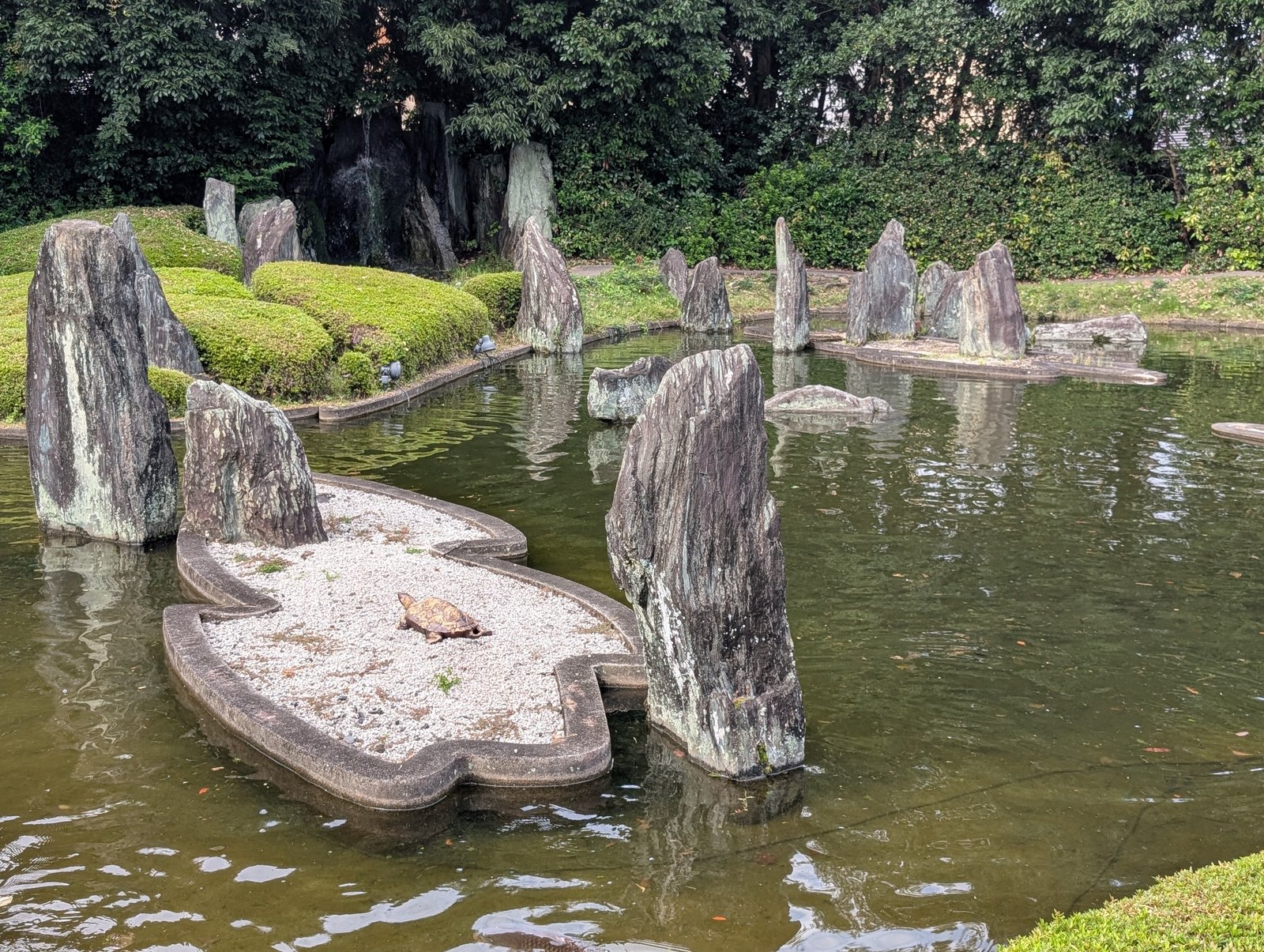 蓬莱の庭。池に石が配され、周囲を苔が覆う