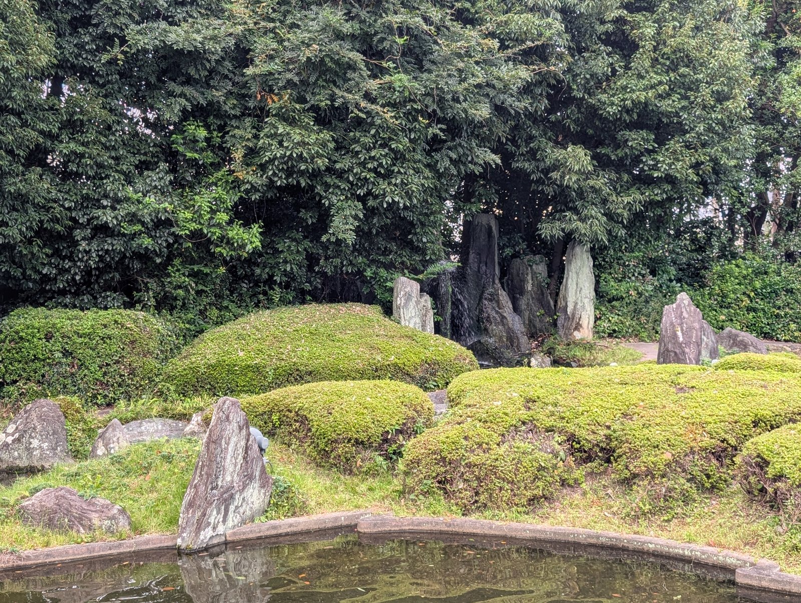 蓬莱の庭の池を、反対側から見たところ