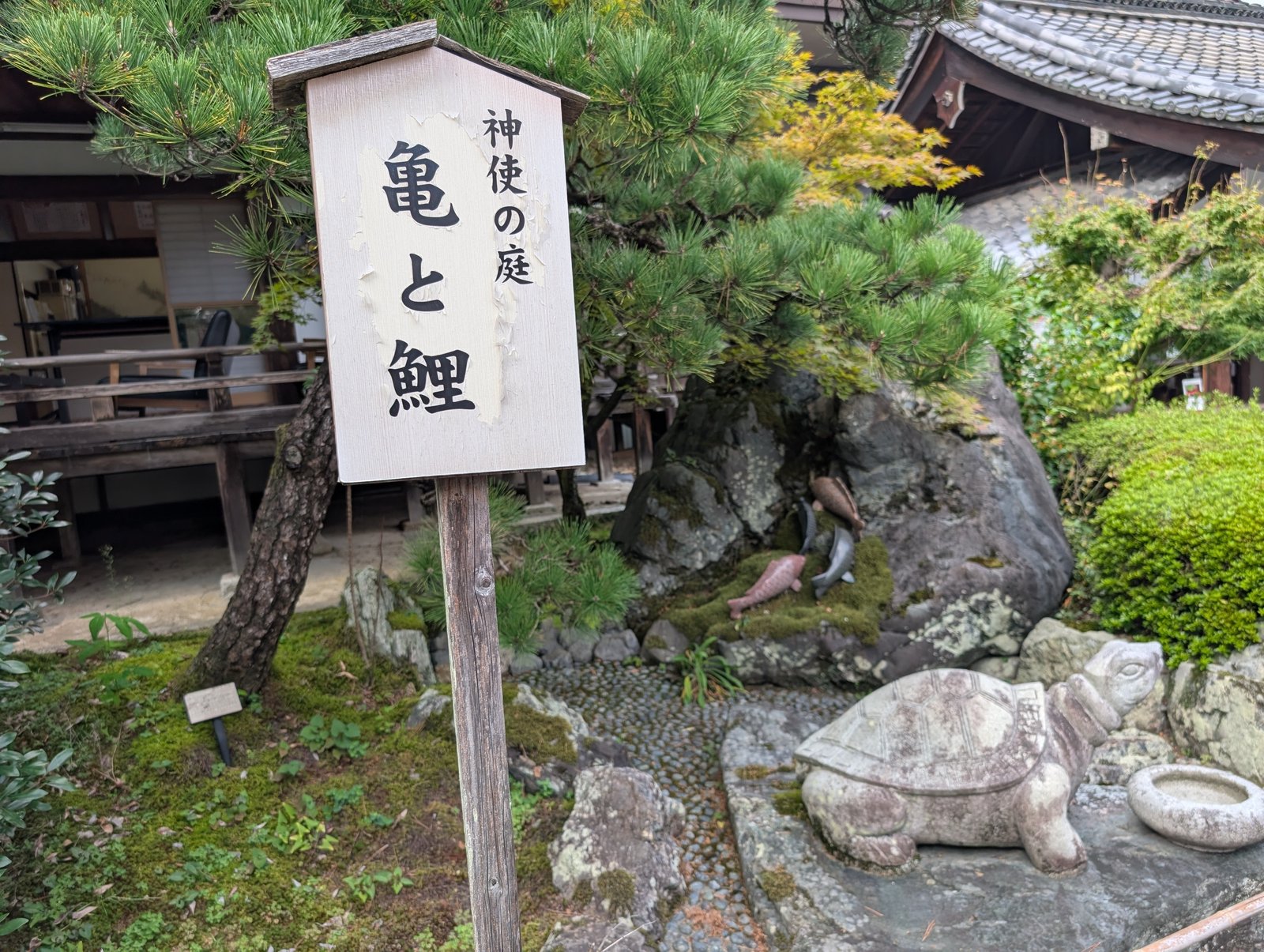 神使の庭の札と、松の下に置かれた亀の石像