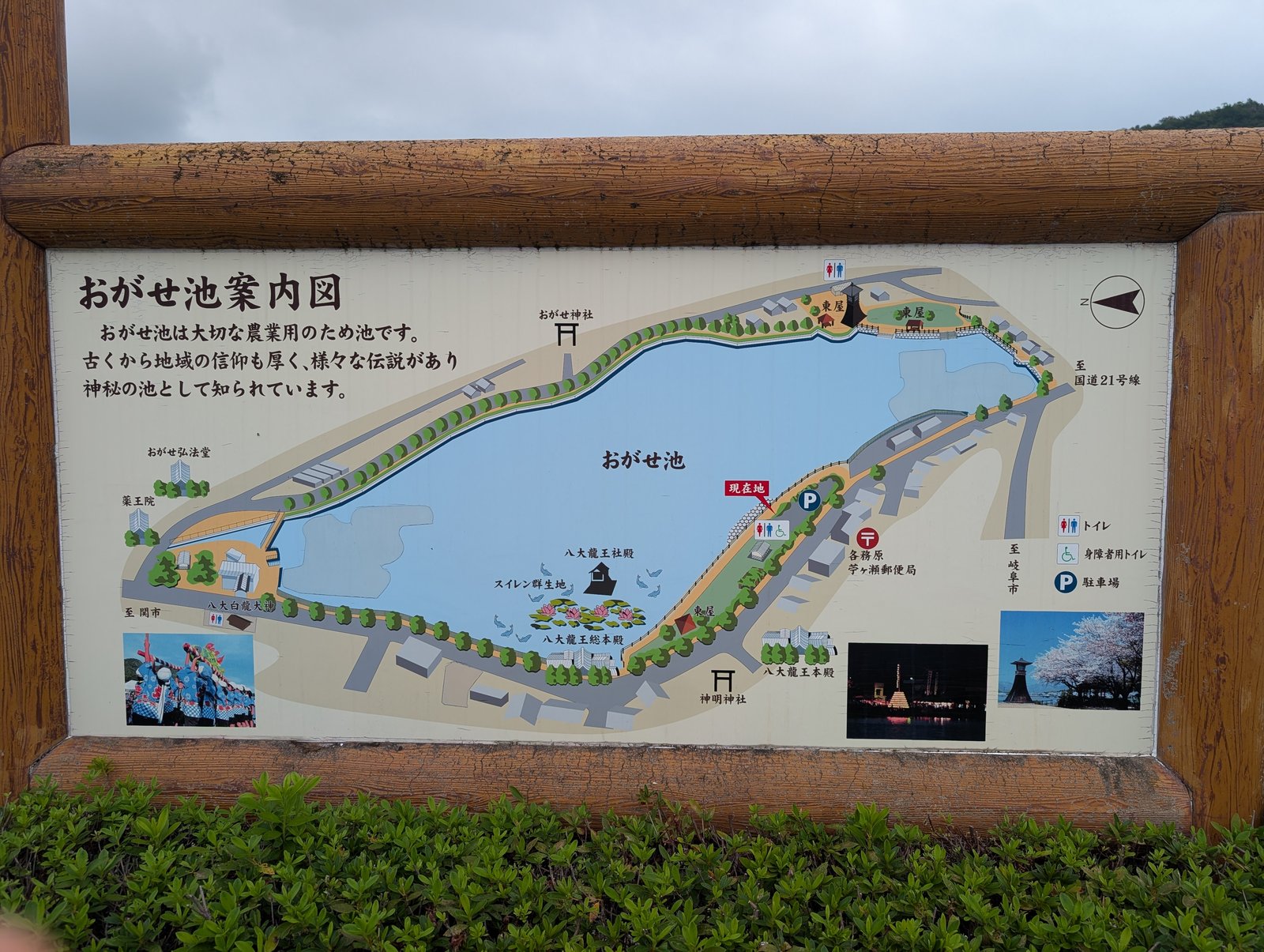 駐車場脇の「おがせ池案内図」。池のまわりの社の配置も描かれている
