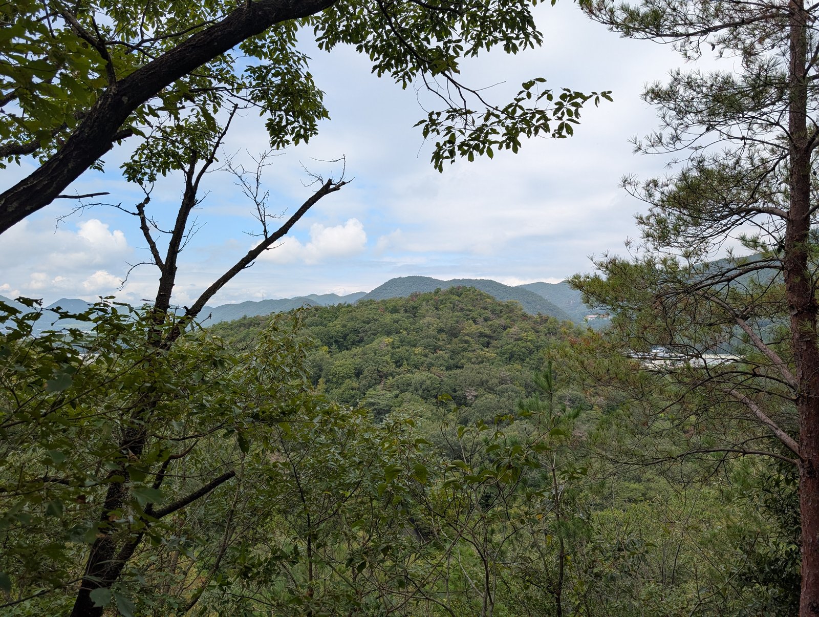 石段の途中から、木立越しに山並みと平野