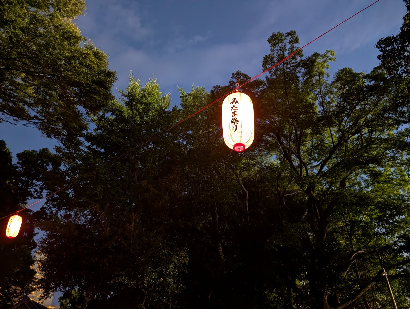 夜空の提灯