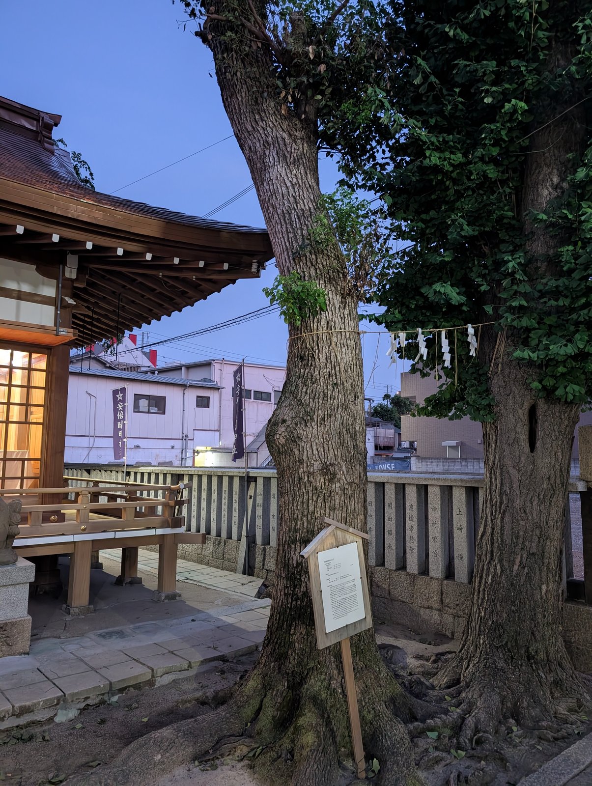 拝殿の脇に立つ木々