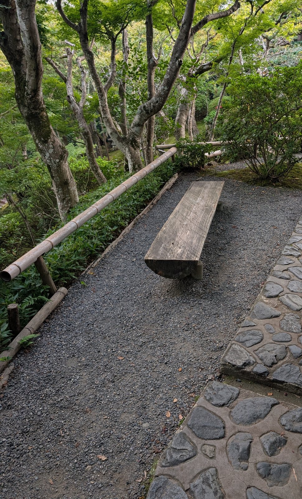 境内の石畳の道と、一枚板のベンチ
