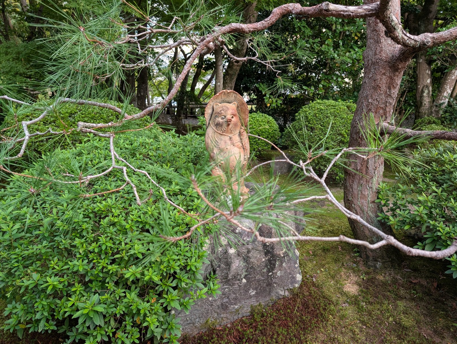 客殿の前の庭。松越しに石の上の像が見える