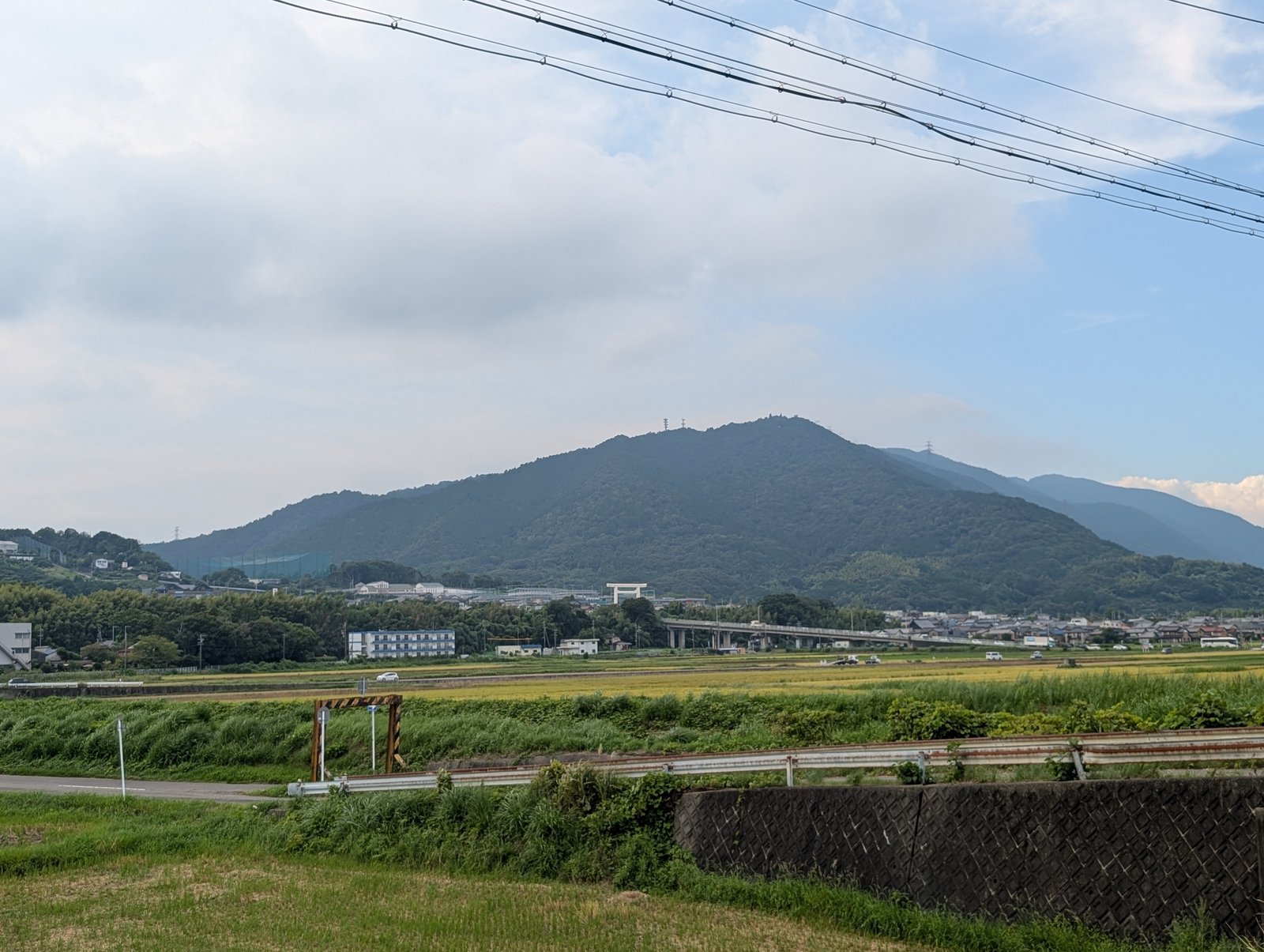 田んぼの向こうに多度山。白い大鳥居が小さく見える
