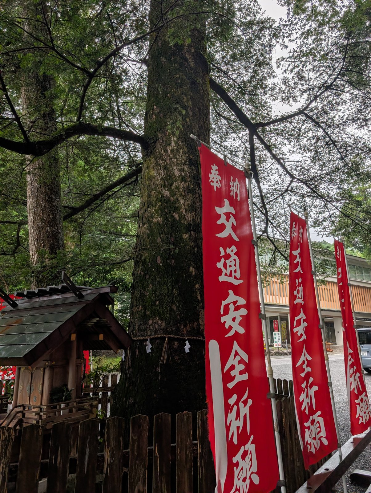 御神木。交通安全祈願の幟が並ぶ