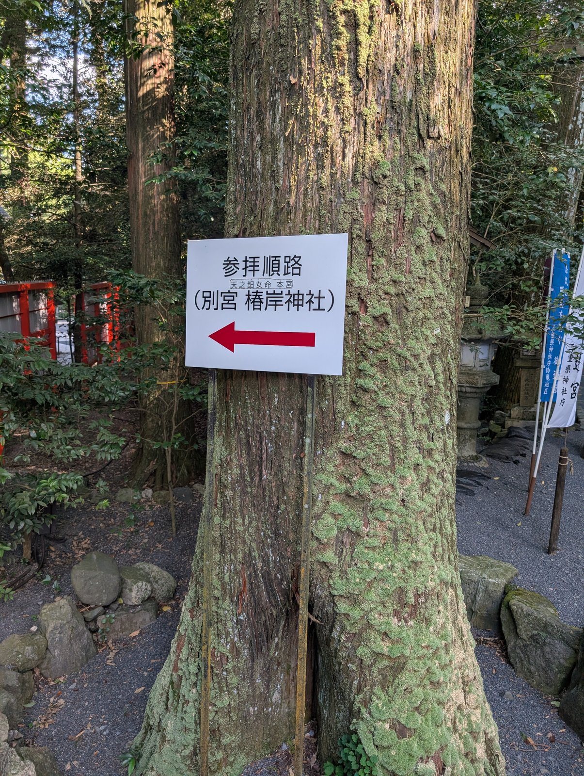 杉の大木に掛かる「参拝順路」の矢印。別宮の椿岸神社へ
