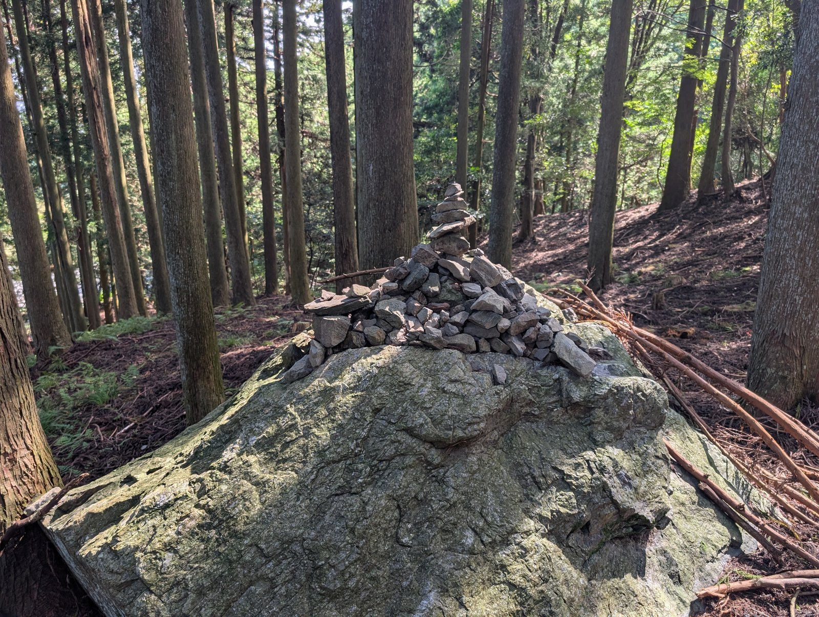 苔むした大岩の上に積まれた小石