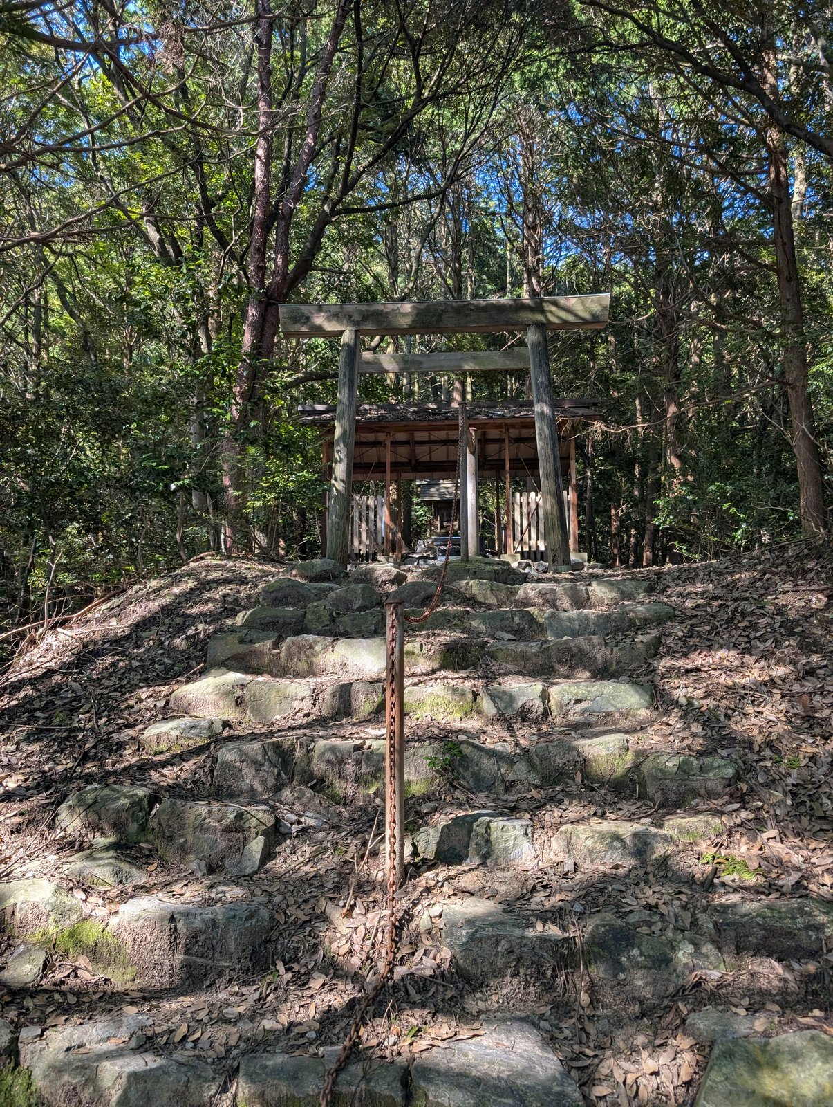 石段の上の木の鳥居と小さな社殿