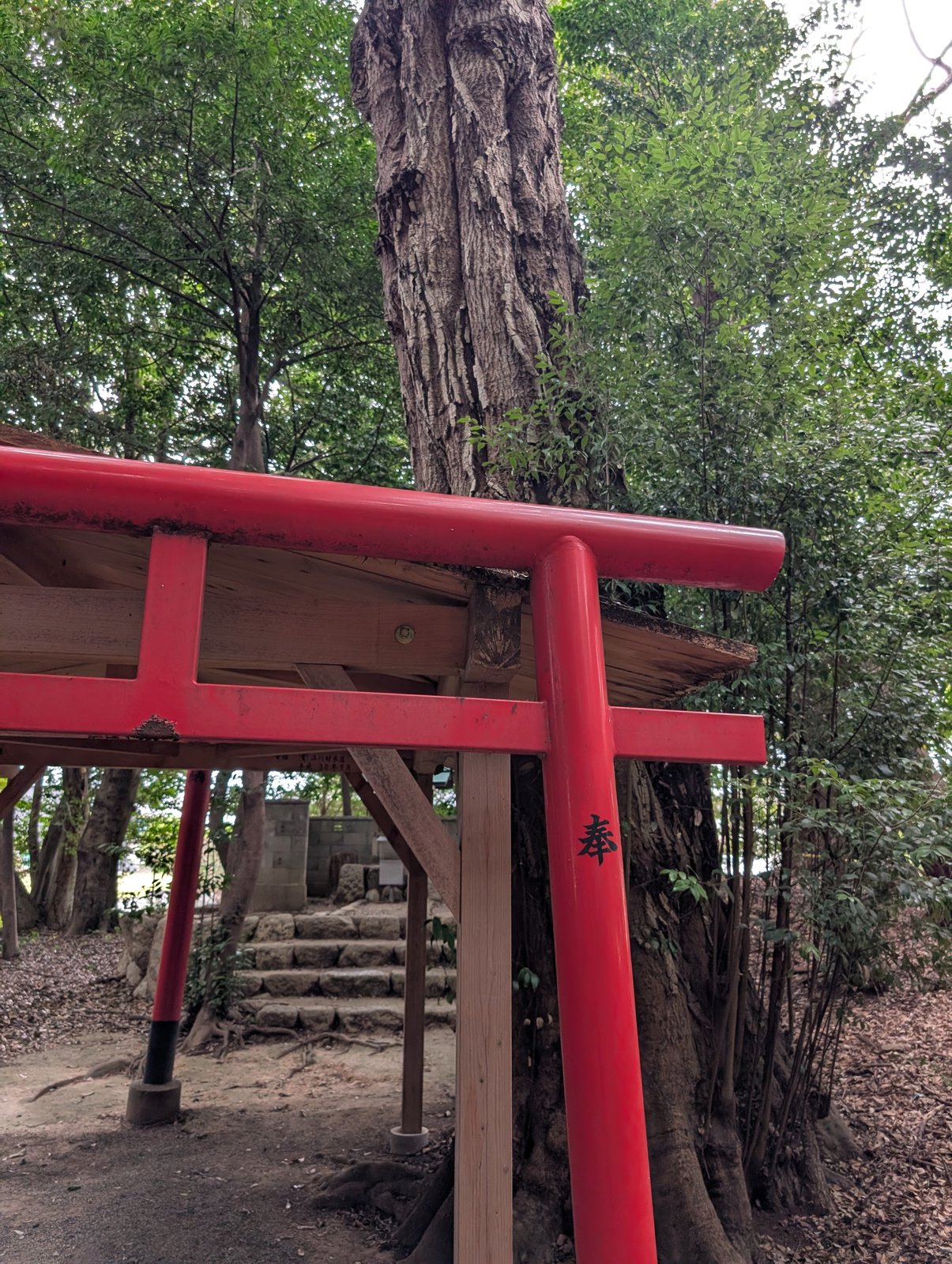 境内に連なる朱の鳥居