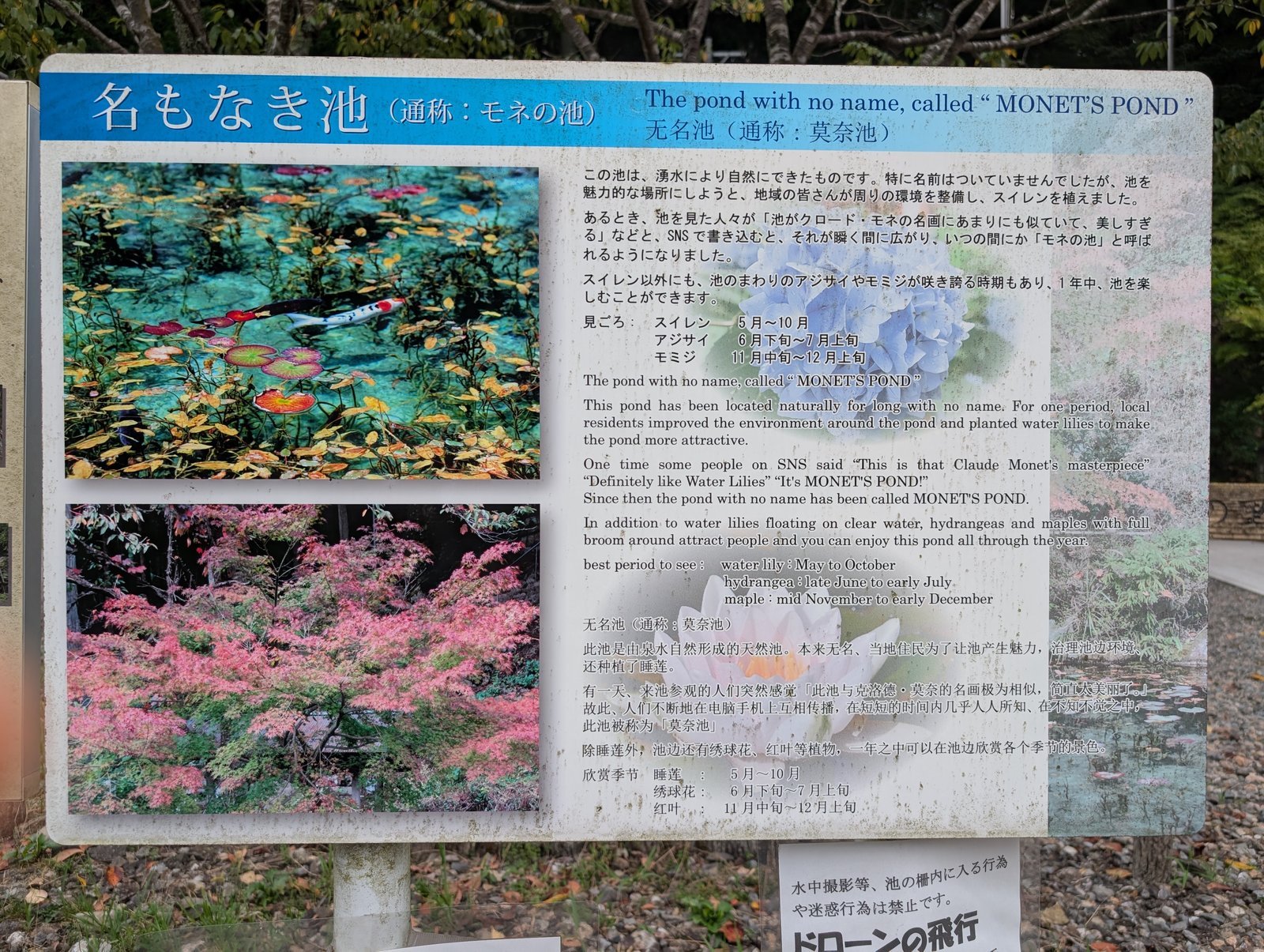 説明板「名もなき池（通称：モネの池）」。湧水により自然にできた池との記載（2026-08-27 撮影）