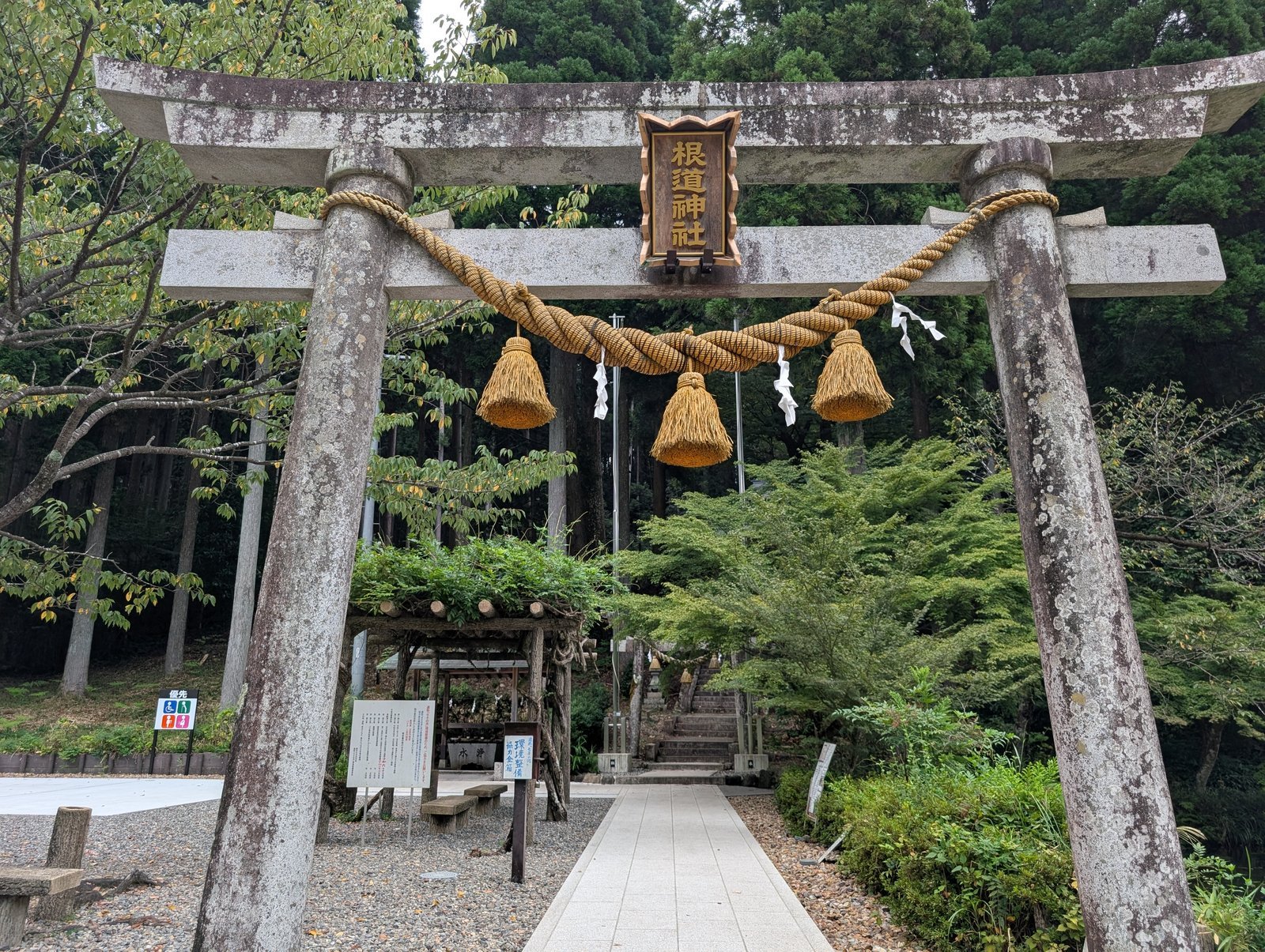 石鳥居と扁額「根道神社」、注連縄と紙垂（2026-08-27 撮影）