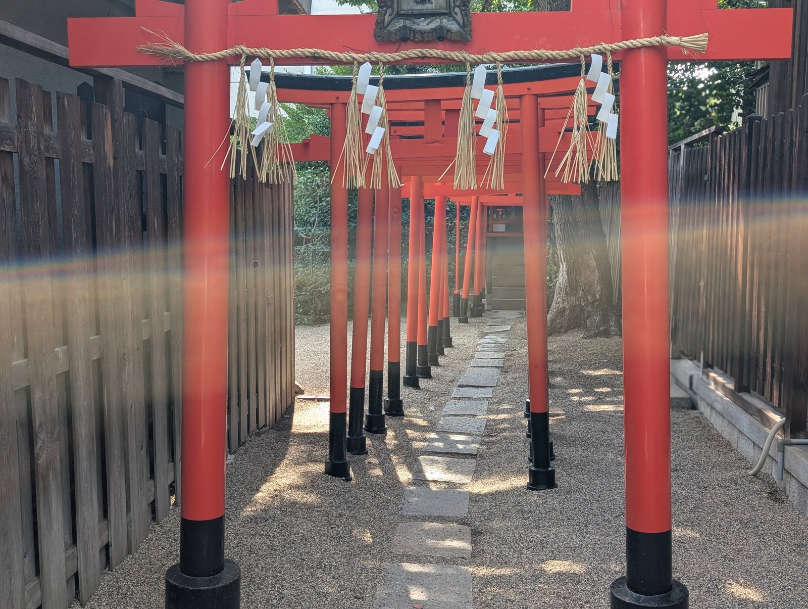 境内の茶臼山稲荷神社。朱の鳥居が連なる