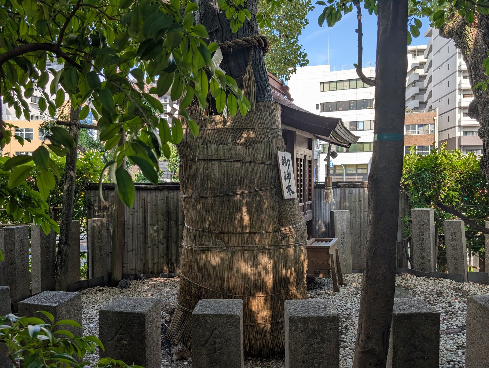 御神木の楠。根元に石碑が並ぶ