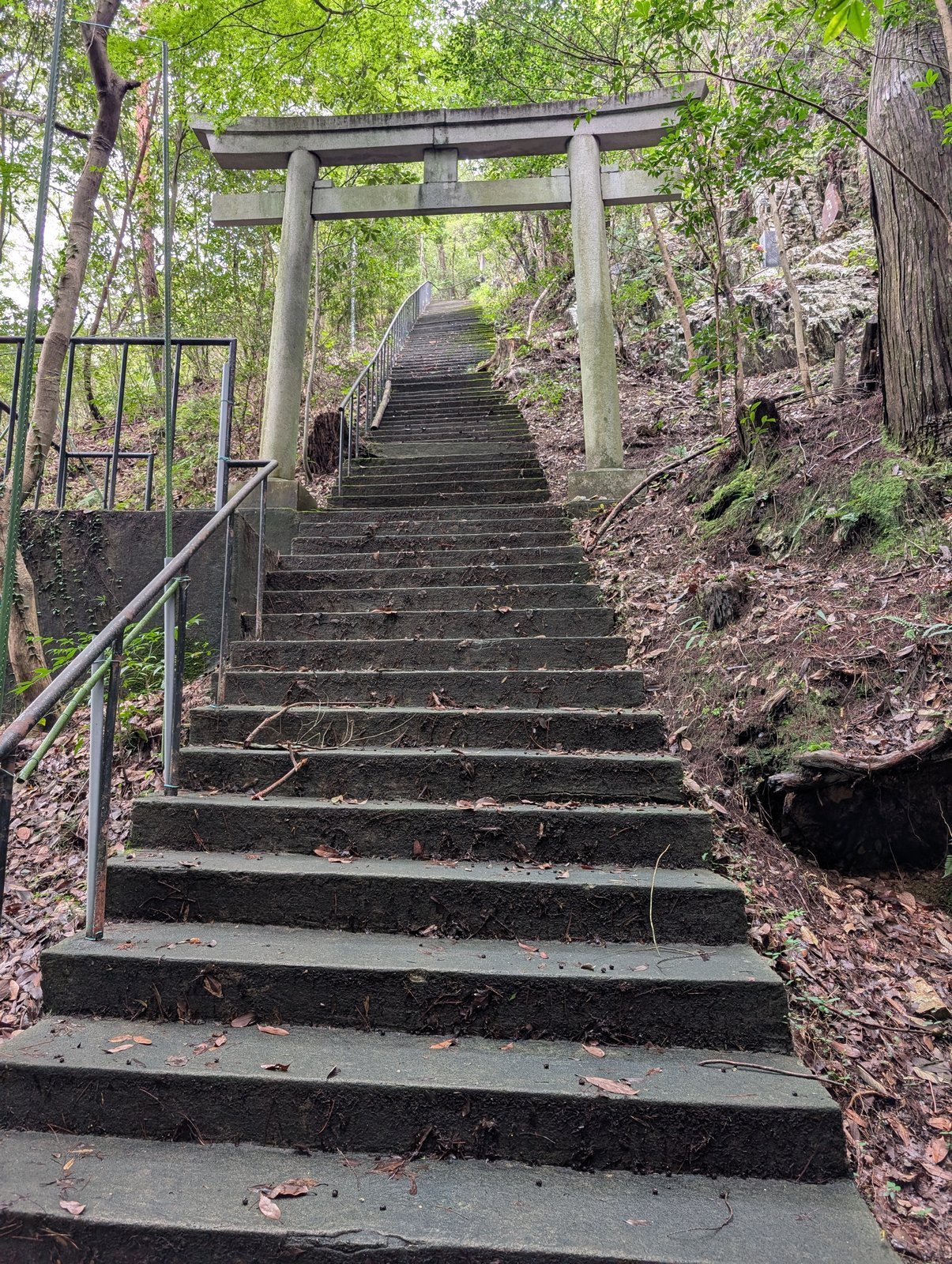 鳥居の先の石段。苔むしていて傾斜が急