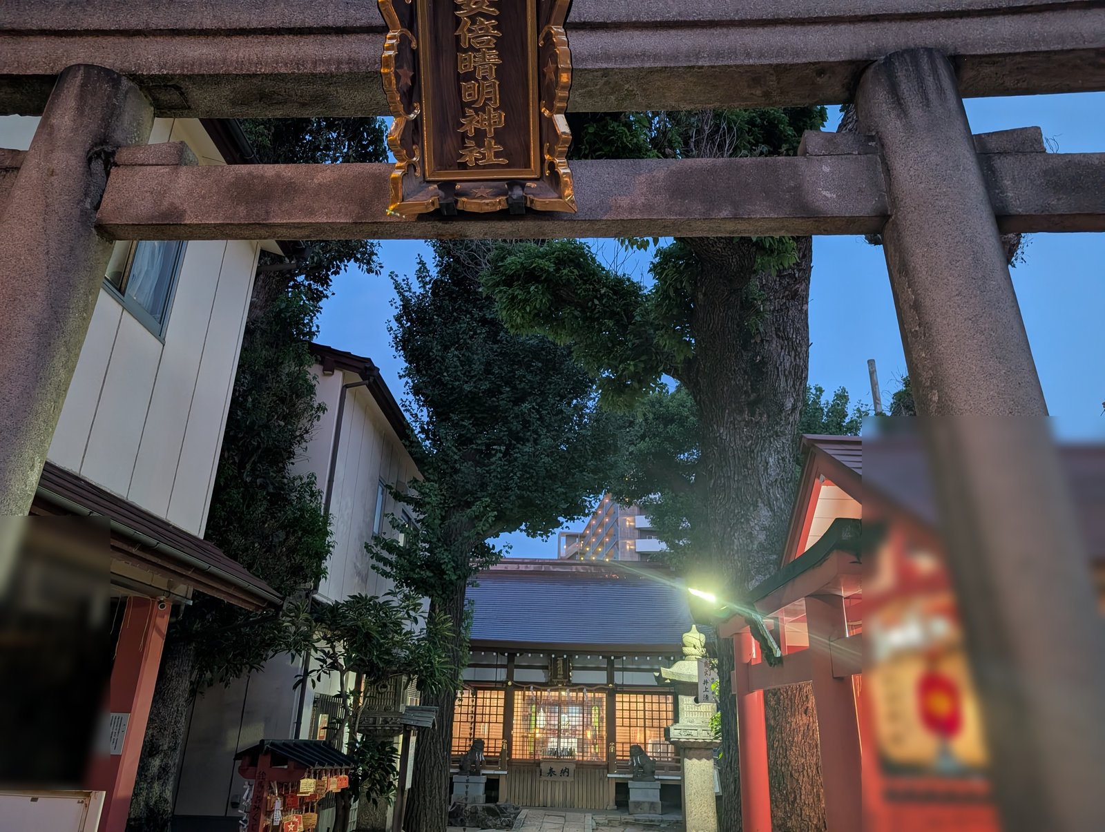 日暮れどきの境内。鳥居の向こうに社殿の灯りがともる