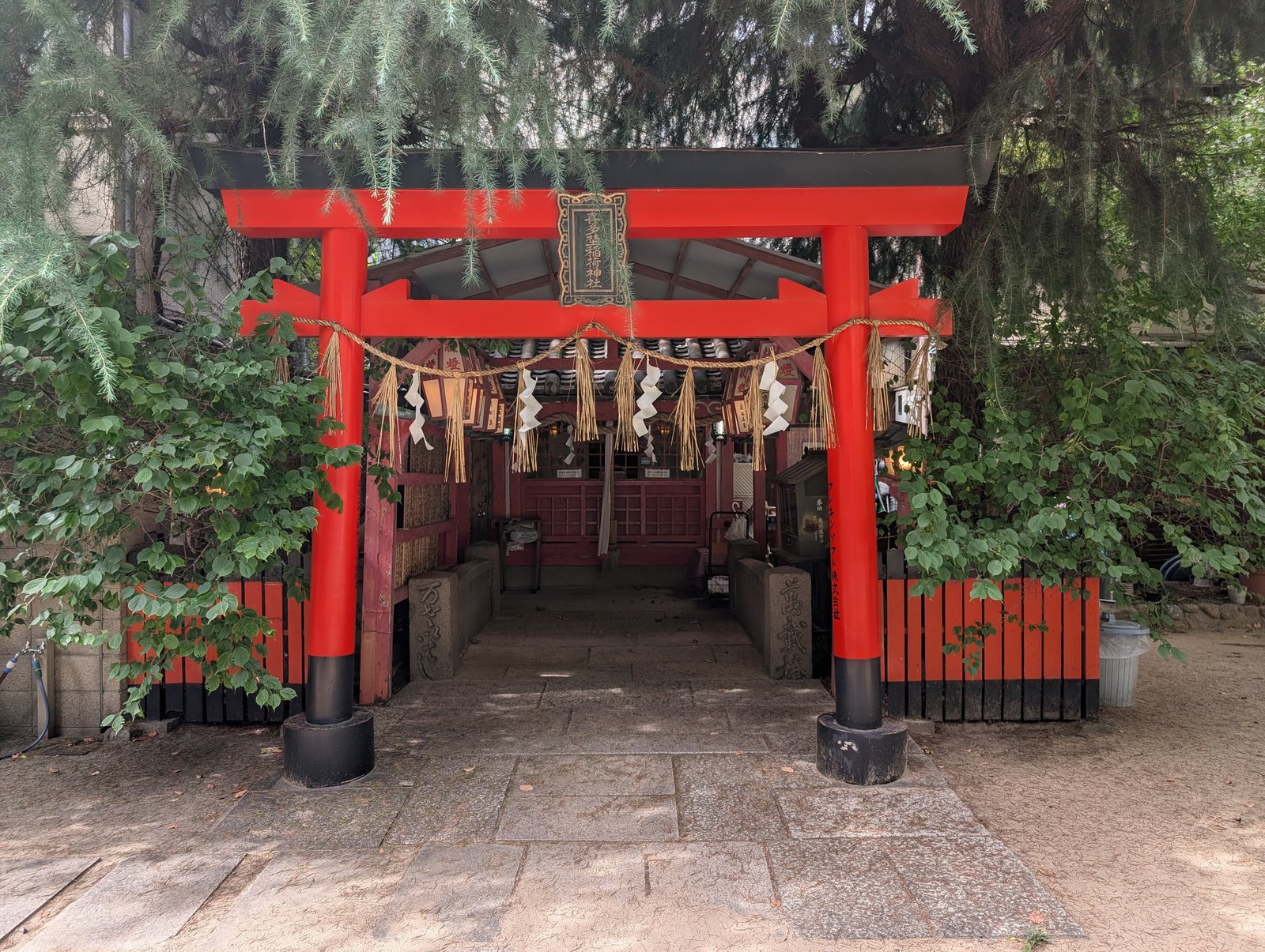 境内の朱鳥居。玉姫稲荷へ続く